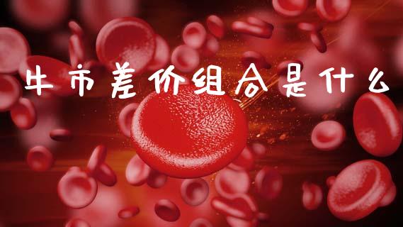 牛市差价组合是什么_https://wap.ycdhulan.com_投资基金_第1张