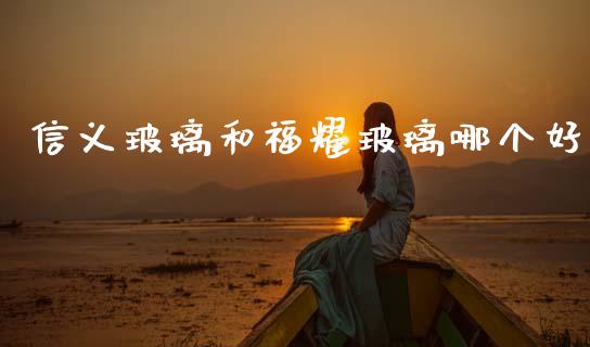信义玻璃和福耀玻璃哪个好_https://wap.ycdhulan.com_国际财经_第1张