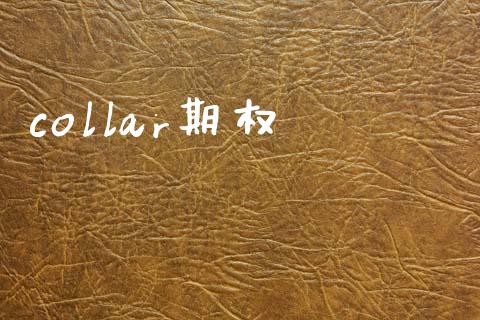 collar期权_https://wap.ycdhulan.com_投资基金_第1张