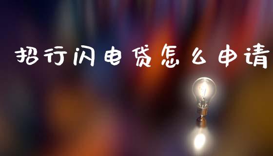 招行闪电贷怎么申请_https://wap.ycdhulan.com_财经新闻_第1张