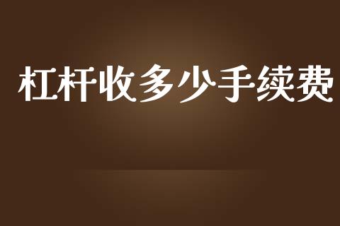 杠杆收多少手续费_https://wap.ycdhulan.com_国际财经_第1张