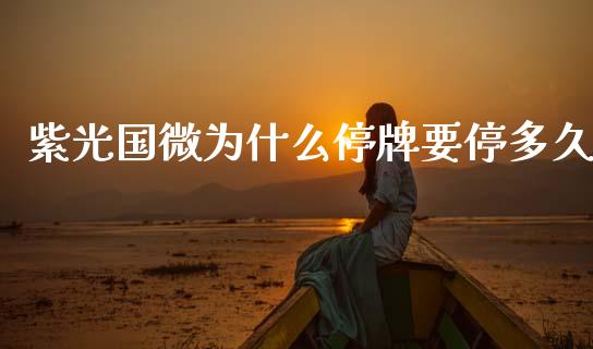 紫光国微为什么停牌要停多久_https://wap.ycdhulan.com_国际财经_第1张