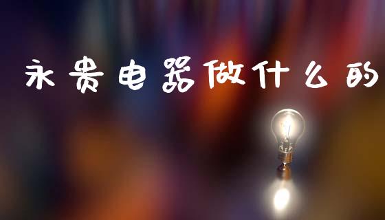永贵电器做什么的_https://wap.ycdhulan.com_国际财经_第1张