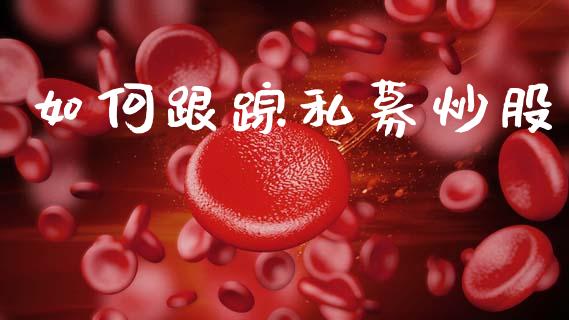 如何跟踪私募炒股_https://wap.ycdhulan.com_国际财经_第1张