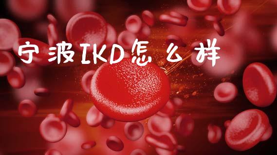 宁波IKD怎么样_https://wap.ycdhulan.com_金融咨询_第1张