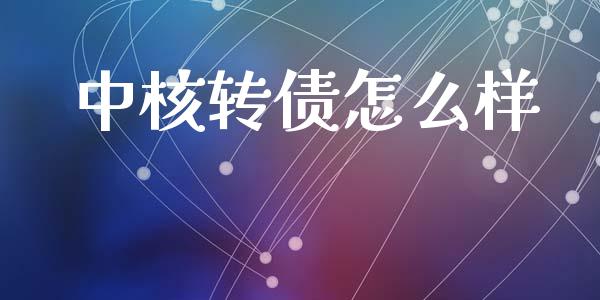 中核转债怎么样_https://wap.ycdhulan.com_国际财经_第1张