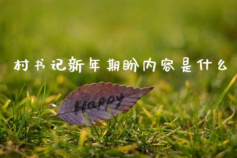 村书记新年期盼内容是什么_https://wap.ycdhulan.com_金融咨询_第1张