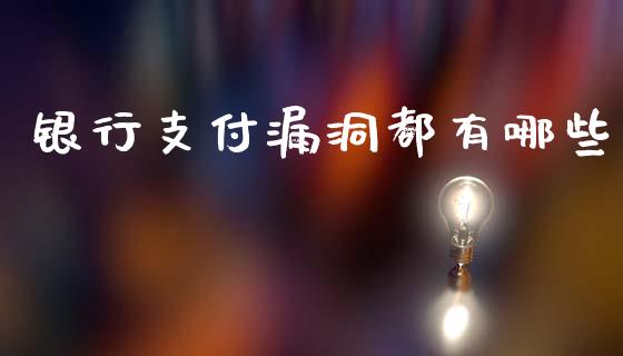 银行支付漏洞都有哪些_https://wap.ycdhulan.com_金融咨询_第1张