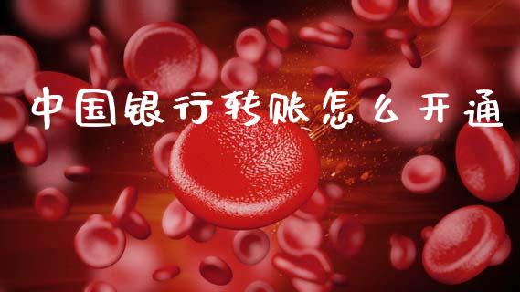 中国银行转账怎么开通_https://wap.ycdhulan.com_国际财经_第1张