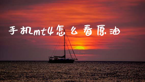 手机mt4怎么看原油_https://wap.ycdhulan.com_金融咨询_第1张