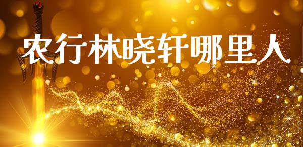 农行林晓轩哪里人_https://wap.ycdhulan.com_财经新闻_第1张