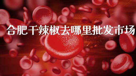 合肥干辣椒去哪里批发市场_https://wap.ycdhulan.com_财务投资_第1张