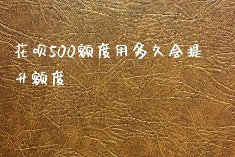 花呗500额度用多久会提升额度_https://wap.ycdhulan.com_财经新闻_第1张