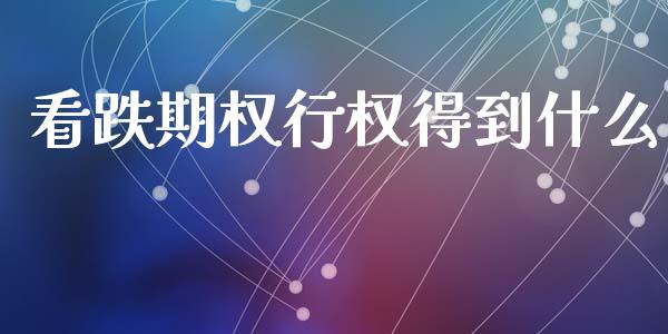看跌期权行权得到什么_https://wap.ycdhulan.com_货币市场_第1张