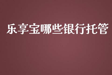 乐享宝哪些银行托管_https://wap.ycdhulan.com_投资基金_第1张