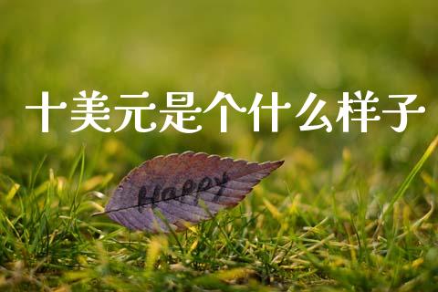 十美元是个什么样子_https://wap.ycdhulan.com_财经新闻_第1张