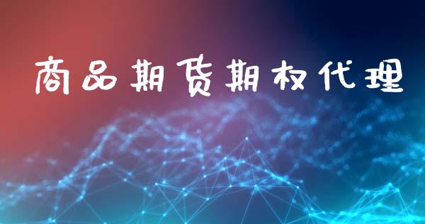 商品期货期权代理_https://wap.ycdhulan.com_金融咨询_第1张