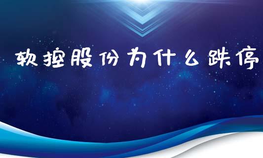 软控股份为什么跌停_https://wap.ycdhulan.com_财经新闻_第1张