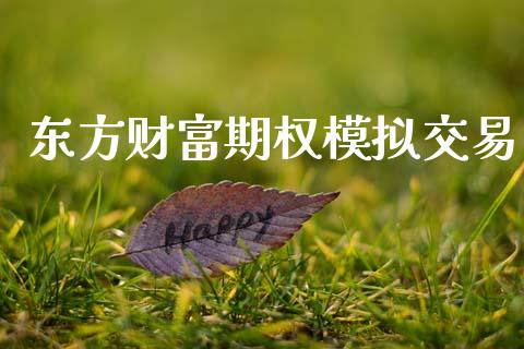 东方财富期权模拟交易_https://wap.ycdhulan.com_货币市场_第1张