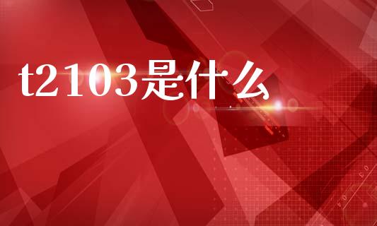 t2103是什么_https://wap.ycdhulan.com_国际财经_第1张