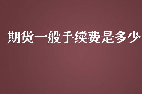 期货一般手续费是多少_https://wap.ycdhulan.com_财务投资_第1张