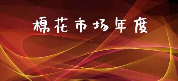 棉花市场年度_https://wap.ycdhulan.com_财务投资_第1张