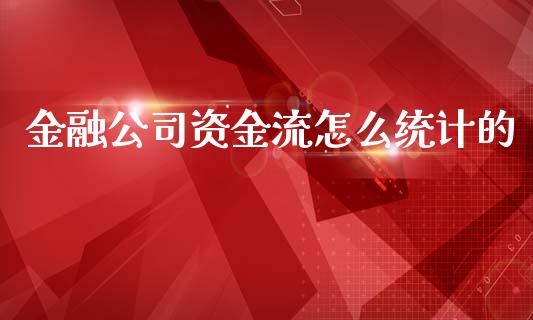 金融公司资金流怎么统计的_https://wap.ycdhulan.com_货币市场_第1张