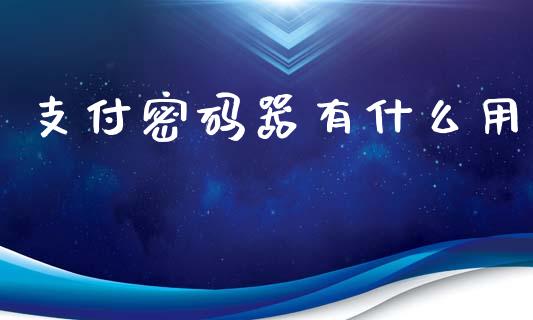支付密码器有什么用_https://wap.ycdhulan.com_财务投资_第1张