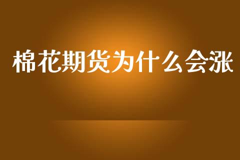 棉花期货为什么会涨_https://wap.ycdhulan.com_金融咨询_第1张