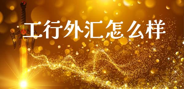 工行外汇怎么样_https://wap.ycdhulan.com_投资基金_第1张