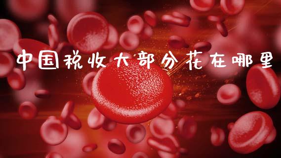 中国税收大部分花在哪里_https://wap.ycdhulan.com_金融咨询_第1张