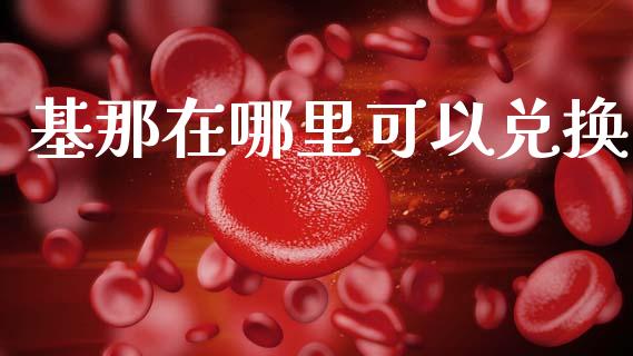 基那在哪里可以兑换_https://wap.ycdhulan.com_投资基金_第1张