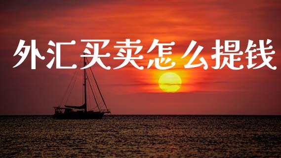 外汇买卖怎么提钱_https://wap.ycdhulan.com_投资基金_第1张