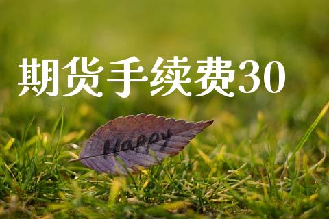 期货手续费30_https://wap.ycdhulan.com_投资基金_第1张