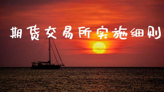 期货交易所实施细则_https://wap.ycdhulan.com_货币市场_第1张