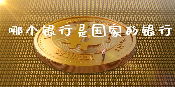 哪个银行是国家的银行_https://wap.ycdhulan.com_金融咨询_第1张