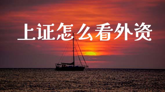 上证怎么看外资_https://wap.ycdhulan.com_国际财经_第1张