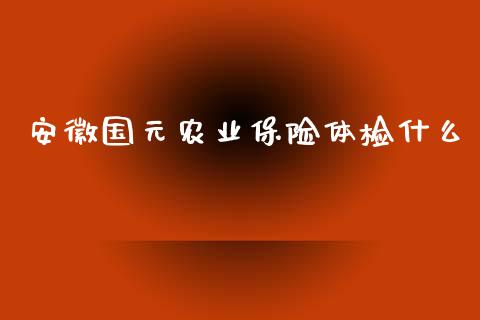 安徽国元农业保险体检什么_https://wap.ycdhulan.com_财经新闻_第1张