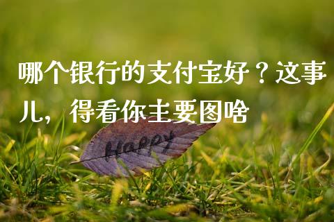 哪个银行的支付宝好？这事儿，得看你主要图啥_https://wap.ycdhulan.com_投资基金_第1张