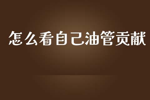 怎么看自己油管贡献_https://wap.ycdhulan.com_金融咨询_第1张