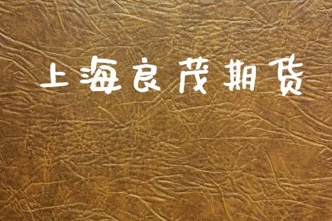 上海良茂期货_https://wap.ycdhulan.com_金融咨询_第1张