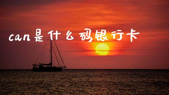 can是什么码银行卡_https://wap.ycdhulan.com_货币市场_第1张