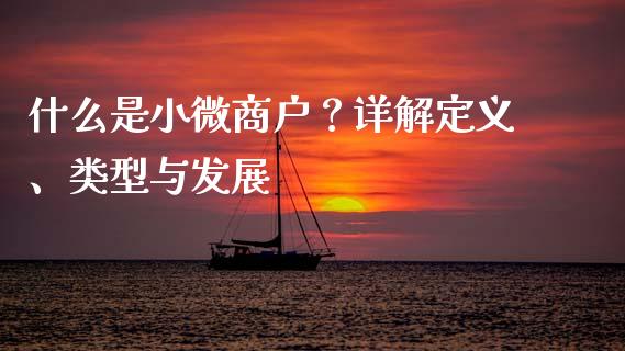 什么是小微商户？详解定义、类型与发展_https://wap.ycdhulan.com_金融咨询_第1张