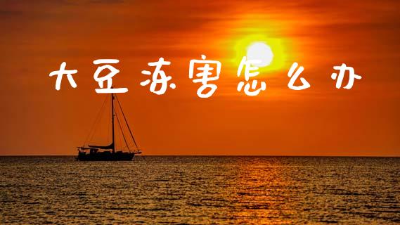 大豆冻害怎么办_https://wap.ycdhulan.com_财务投资_第1张