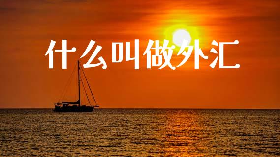 什么叫做外汇_https://wap.ycdhulan.com_国际财经_第1张