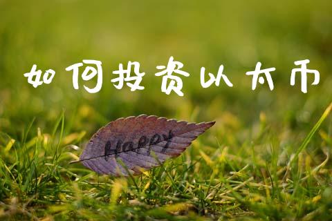如何投资以太币_https://wap.ycdhulan.com_金融咨询_第1张