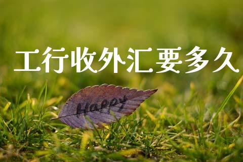 工行收外汇要多久_https://wap.ycdhulan.com_财务投资_第1张