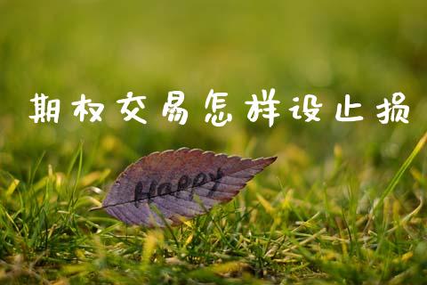 期权交易怎样设止损_https://wap.ycdhulan.com_金融咨询_第1张
