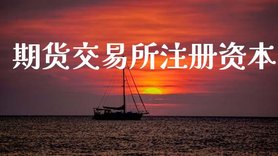 期货交易所注册资本_https://wap.ycdhulan.com_财经新闻_第1张