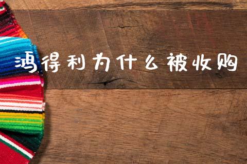 鸿得利为什么被收购_https://wap.ycdhulan.com_投资基金_第1张